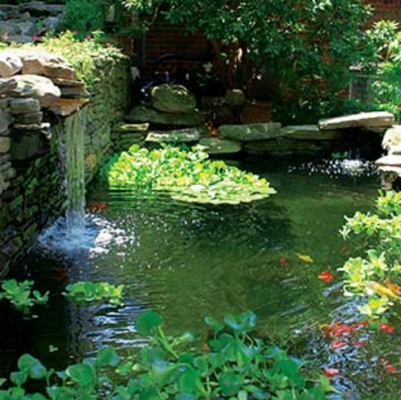 Meet your Posher, Shari - Picture 4 of 4